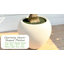 5/6/7/8 / 9pi Grand olivier artificiel dans un pot à fleurs blanc - Grande plante de faux plancher multi-troncs pour hauts plafonds-1202653297