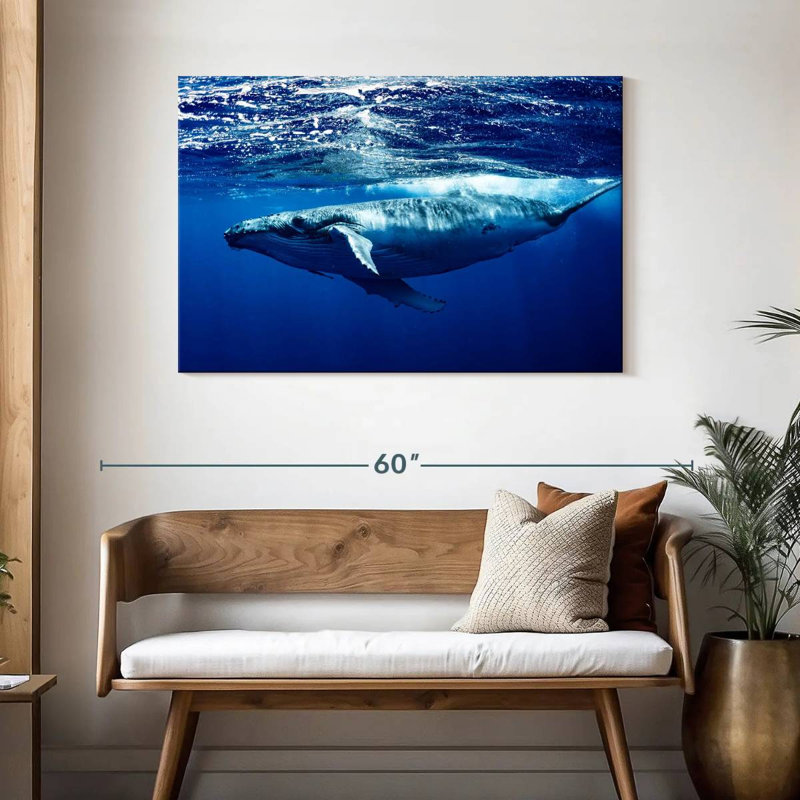 Brampt Humpback Whale Below Surface, 30'' H x 45'' W
