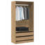 Bludovice Manufactured Wood Wardrobe