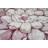 Bigby Floral Indoor Rug-748192381