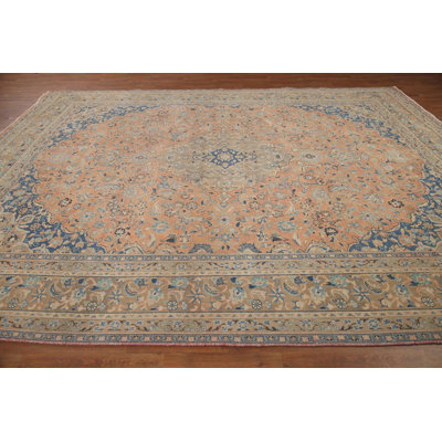 Traditional Area Rug 10x12