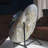 Polished Brazillian Agate with Stand