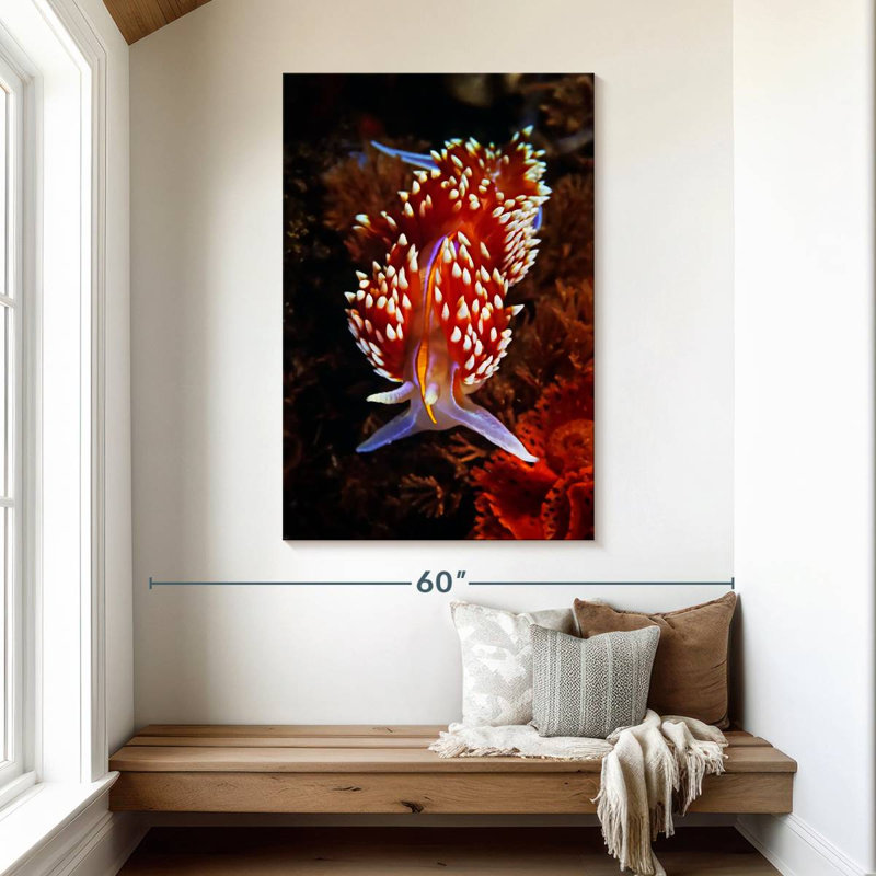 Nudibranche exotique Brampt, H 48 po x l 32 po