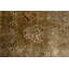 Wool Area Rug in Brown