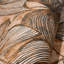 Thaler Large Shimmery Monstera Leaf 8.5m x 70cm Wallpaper Roll-2030059868