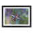 Black Framed selected
