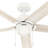 52" Erling 6 - Blade Ceiling Fan with LED Light Kit and Pull Chain-83988962