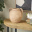 Birch Lane™ Badgley Ceramic Antique Style Textured Vase With Shadings And Handles-270499430
