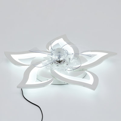 Ceiling Fan with LED Lights