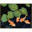 The Koi Pond Framed Painting Canvas