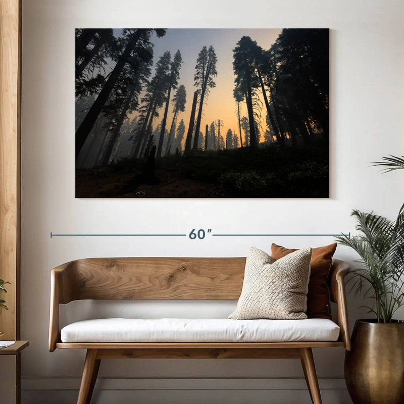 Harnek Redwoods Forest Fire