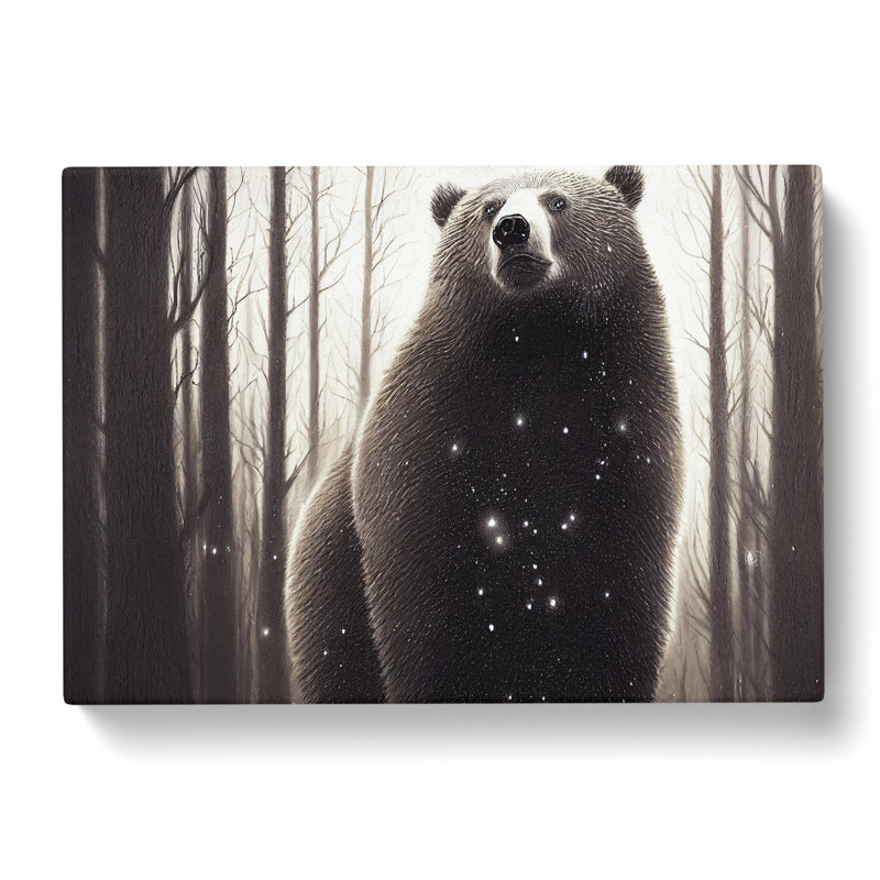 Evocative Bear - Wrapped Canvas, 35cm H x 50cm W x 3cm D