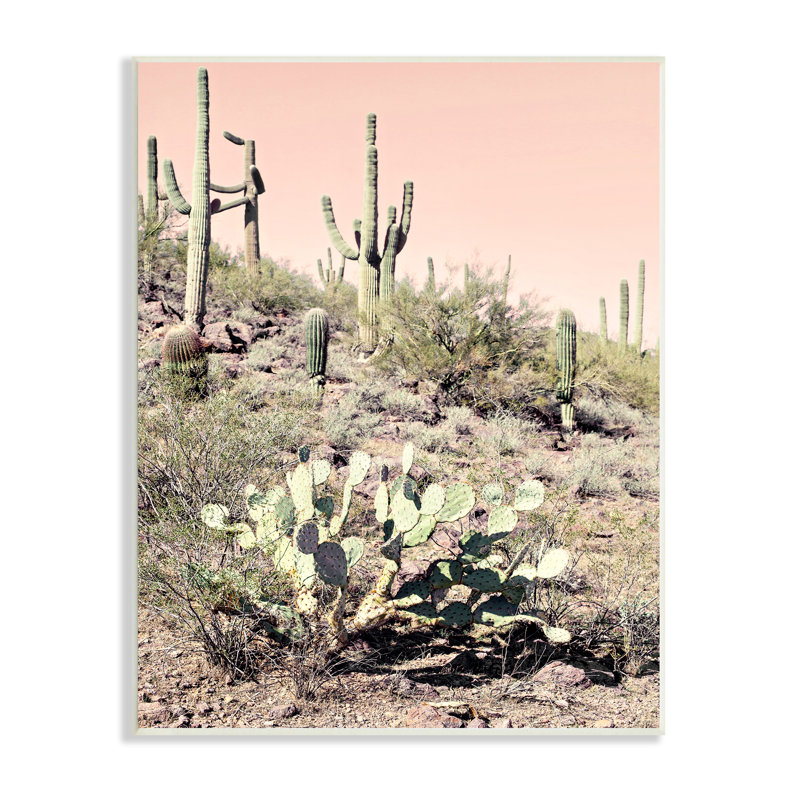 «Summer Dessert Landscape Cactus Prickly Pear», photographie sur toile tendue rose, Bois, H 15 po x l 10 po x P 0,5 po