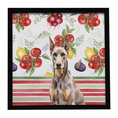 Fawn Doberman Pinscher Vegetables Framed Metal Print