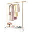 47.24x13.78x63 inch Gold Clothes Rack