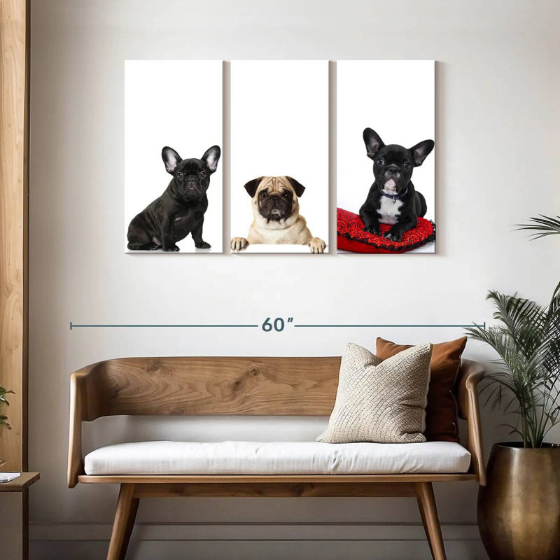 Bouledogue français et carlin, H 28 po x l 45 po