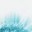 Print on Canvas-25525596