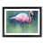 Black Framed selected