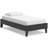 Alli Platform Bed, Modern Wood, Low Profile-107717776-107717777