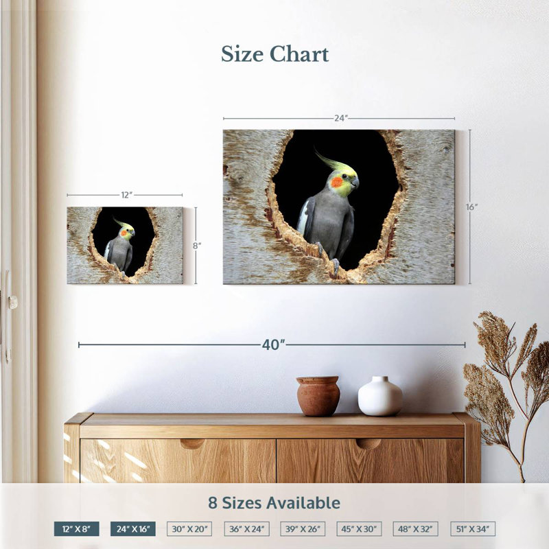 Cockatiel Brampt dans un trou, H 16 po x l 24 po