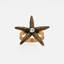 Starfish Skinny Napkin Ring