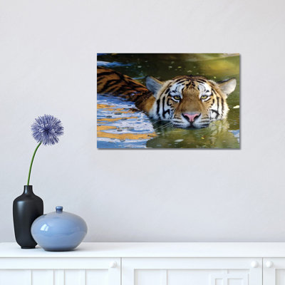 Tiger VI by Goran Anastasovski - Wrapped Canvas Print