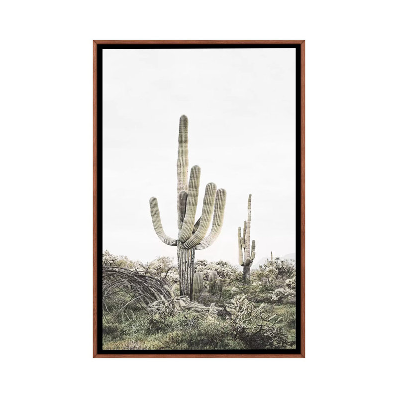 « rosé timide cactus », photographie, H 26 po x l 18 po x P 1,5 po, Toile avec cadre en bois classique
