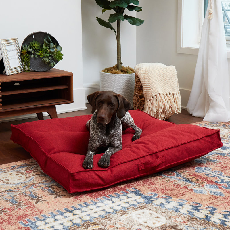 Lit pour chien Longwood, Grand (l 40 po x P 40 po x H 6 po), Rouge écarlate