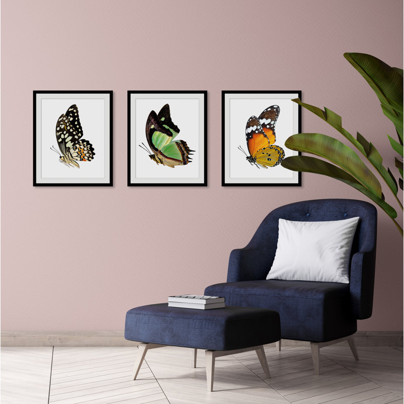 Butterfly - Single Picture Frame Print