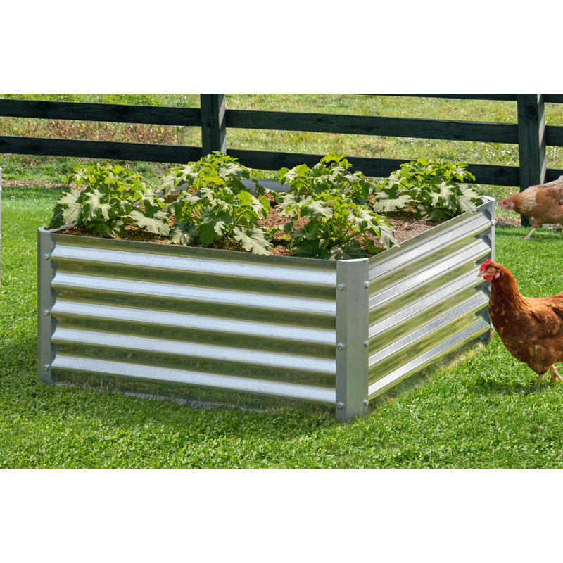 Galvanized Steel Raised Garden Bed 36x36x17