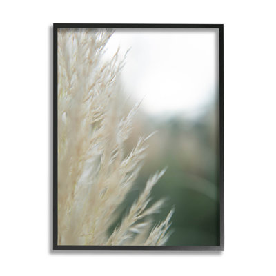 «Close Up Country Pampas Grass», art mural texturé giclée par Jason Johnson_aq-412