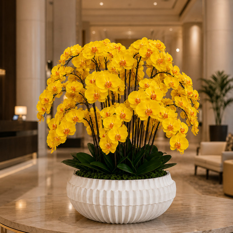 Cascading Orchids in Seraphina Ceramic Bowl, Yellow