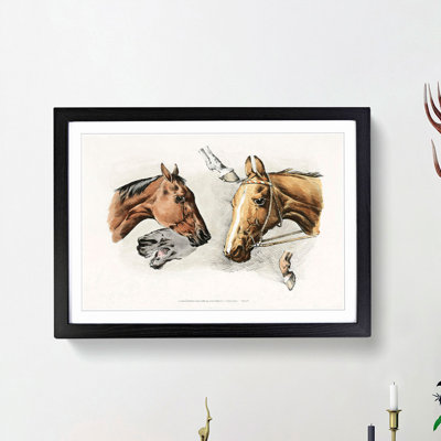 Horse Heads and Hoofs by Henry Alken - Picture Frame Painting Print