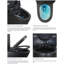 Toilette allongée une pièce à double chasse 1,1 / 1,6 GPF noir mat 1000g, noir mat
