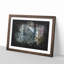 Colourful Forest - Framed Print-56916991-56916993