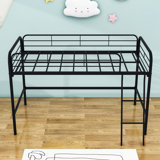 Alodi Twin Size Metal Loft Bed with Ladder