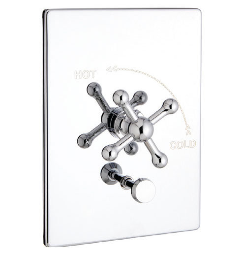 Rectangle Pressure Balance T & S Complete with Valve