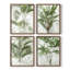 Lace Palms I, ensemble de 4 reproductions encadrées-557233224-557233227