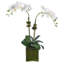 Phalaenopsis Orchids in Glass Cube Vase