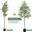 Arbre artificiel en soie d'olivier artificiel avec branches d'olivier naturelles et feuilles réalistes pour le bureau intérieur extérieur-110959374