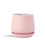 Mini pots en terre cuite roulés à la main avec soucoupe intégrée (paquet de 6) - Intérieur-1915569528-1915569530