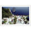 Il Canille Print by Slim Aarons-2093559277-2081800232