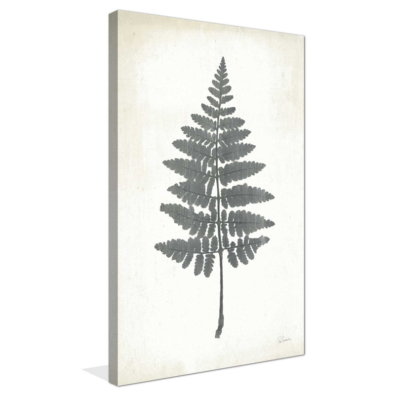 Tableau noir Fern II - Peinture, L 18 po x H 30 po, Toile tendue