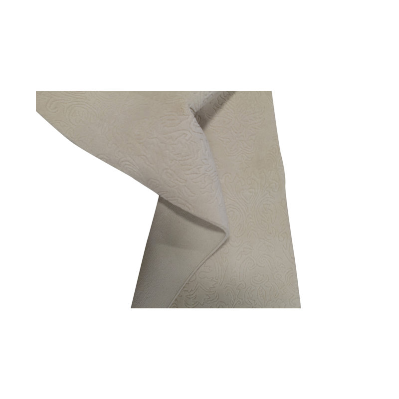 Area Rug in Beige