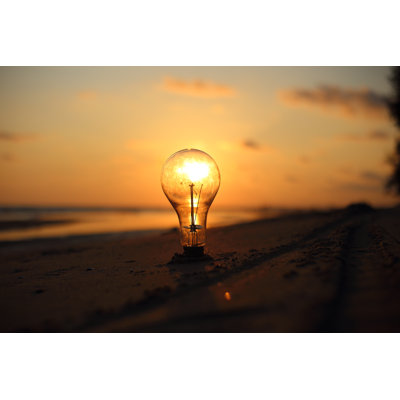 " Electric Light Bulb "