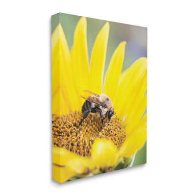 " Bee & Sunflower Photography " Color Photography