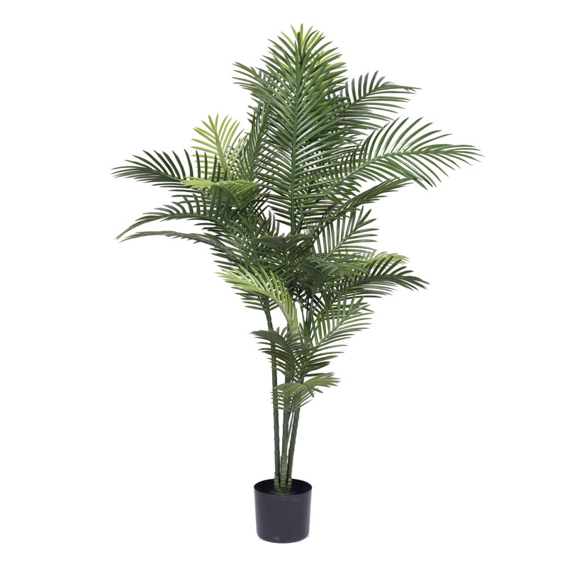 Palmier UV UV Robellini en pot rond