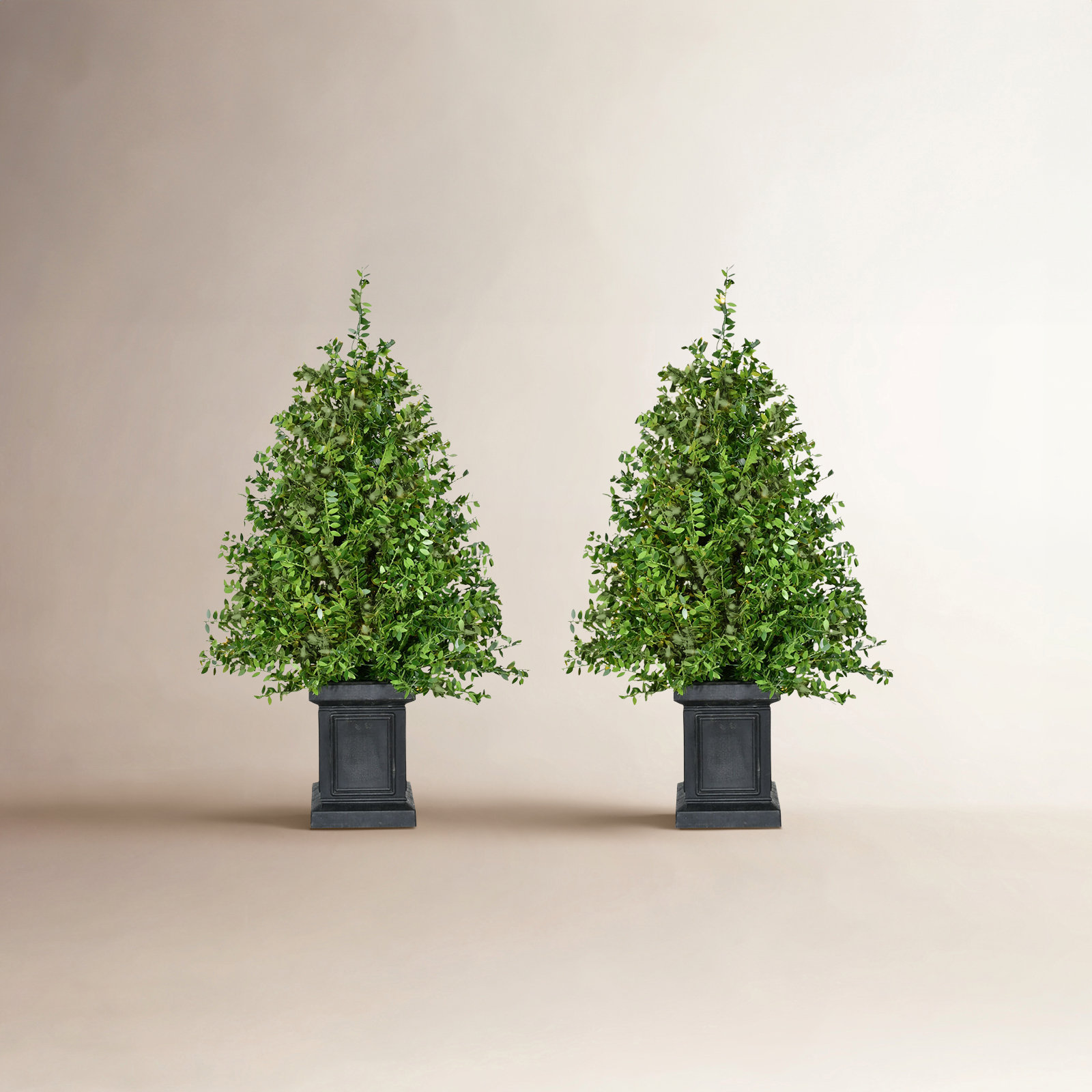 Faux Boxwood 24' Lighted Artificial Pine Christmas Tree