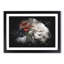 White Hen - Picture Frame Graphic Art Print-56864022-56864027