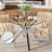 Modern Round Clear Dining Table Set, Tempered Glass Dining Table With Velvet Weavon Dining Chair For Dining Room-786206469-786206470-786206493